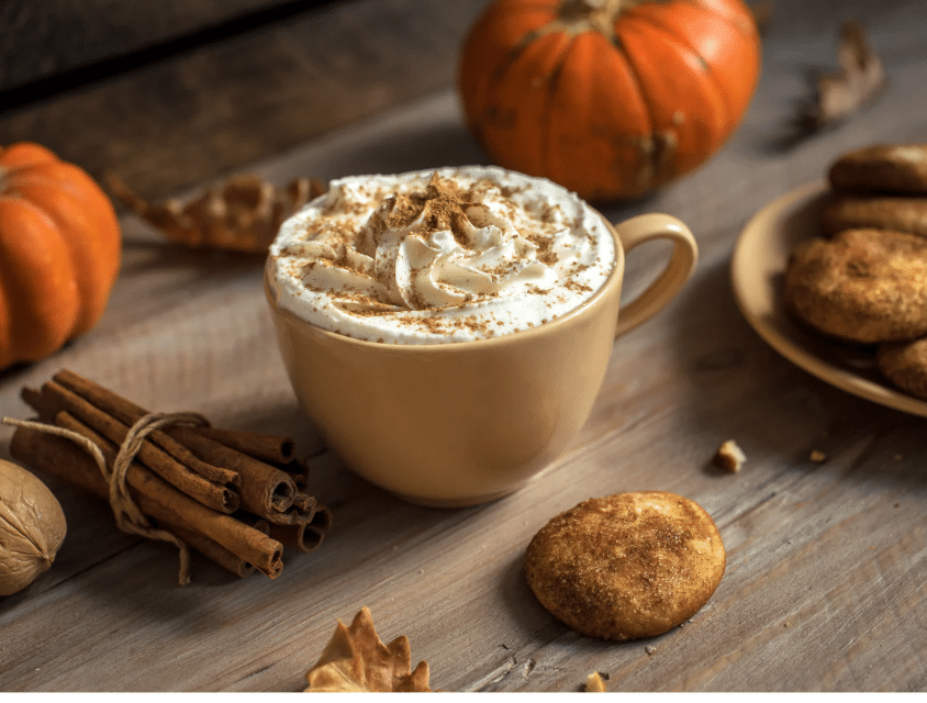 Pumpkin Spice Everything Products