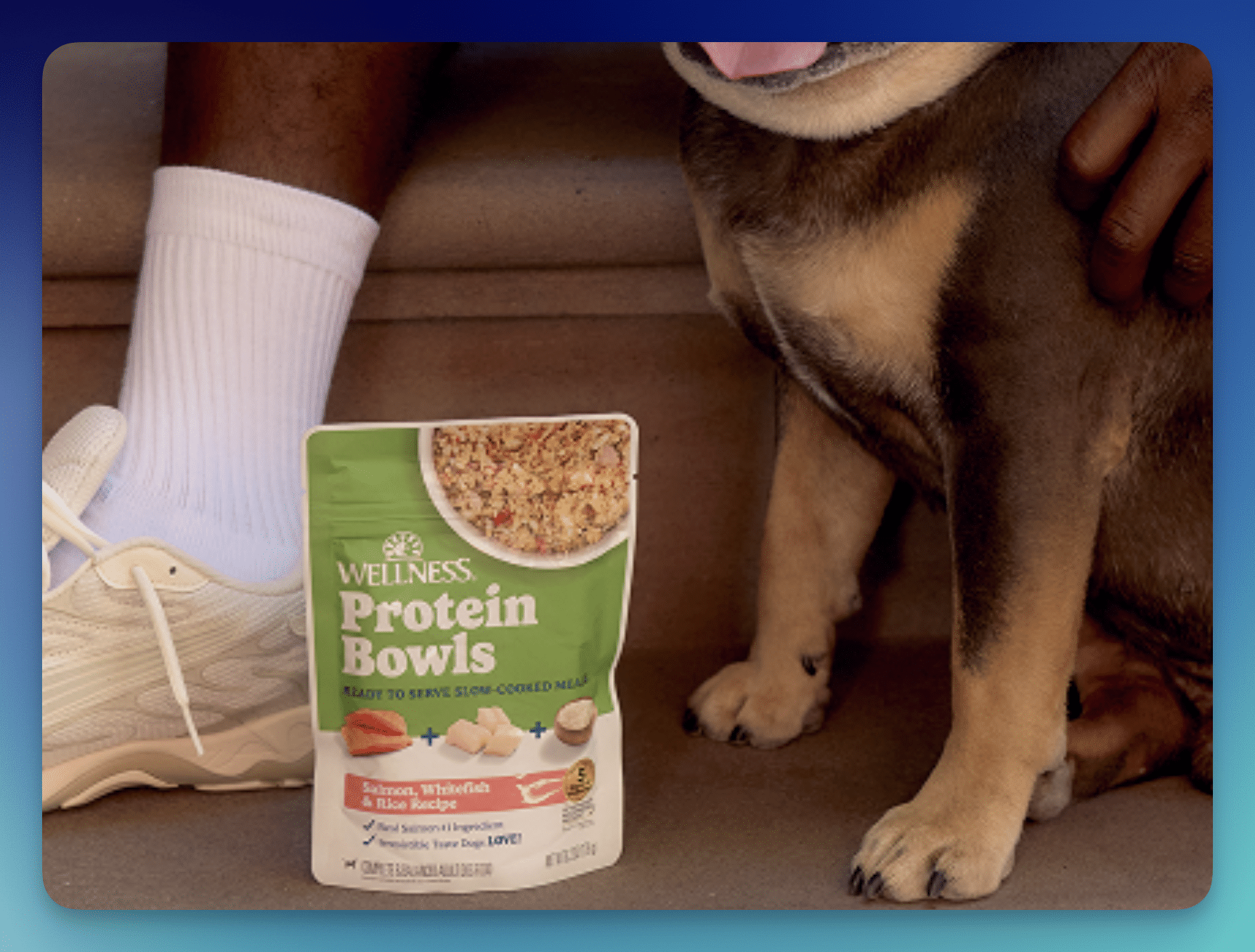 FREE Wellness Protein Bowls Dog Food Sample