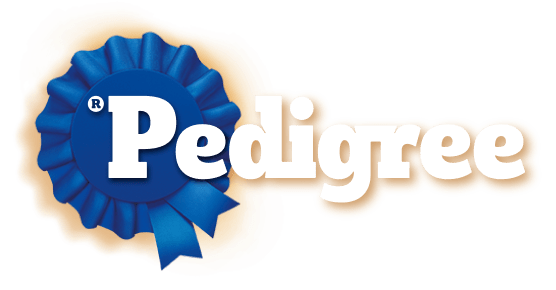 Free Pedigree Pouch Wet Dog Food