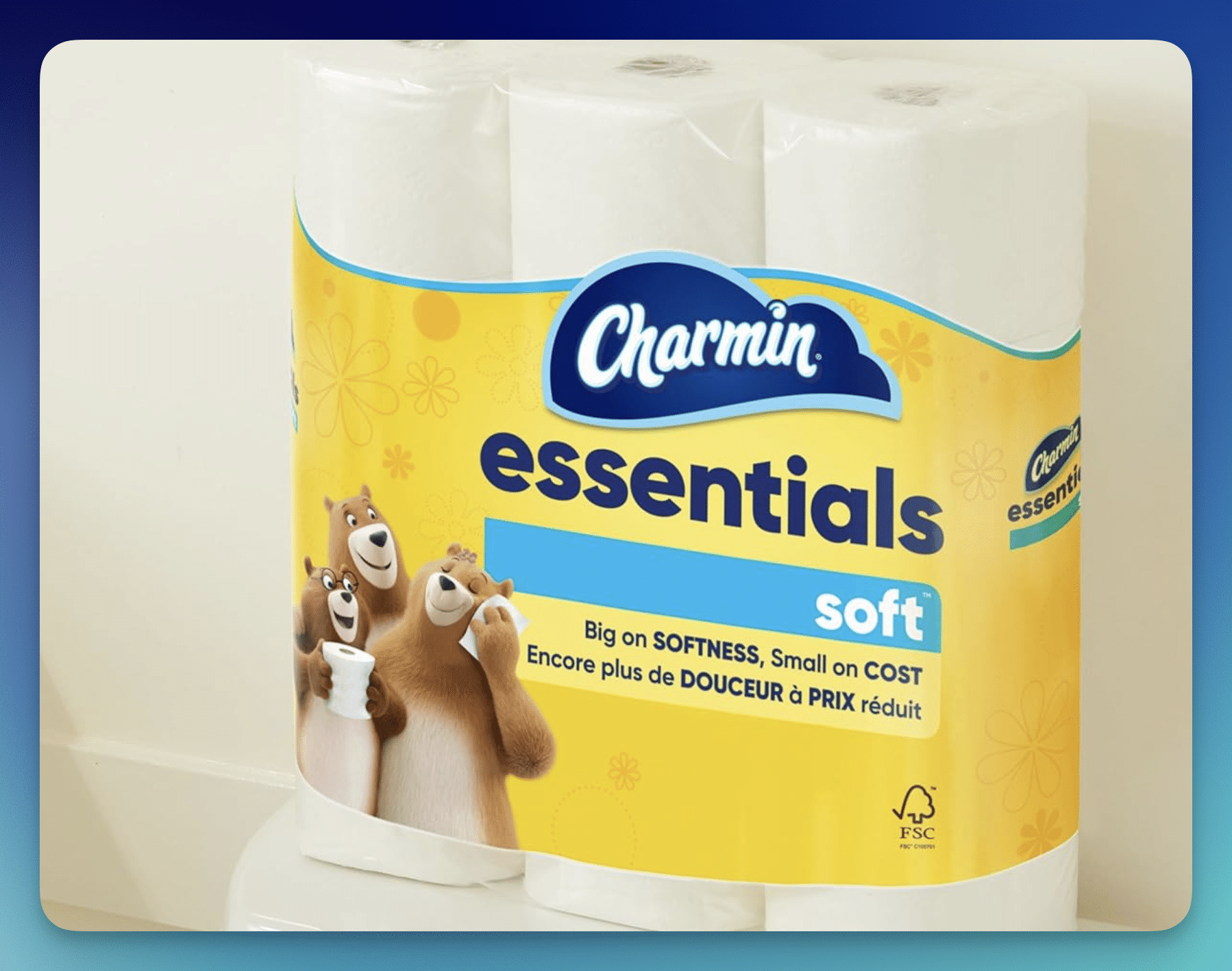 Amazon: Charmin Essentials 6-Count Mega Rolls – Only $4.12