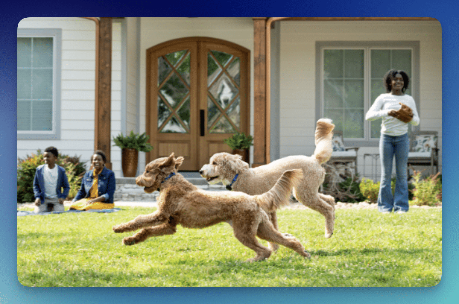 Possible FREE Snoot to Toot Dog Digestive Supplement