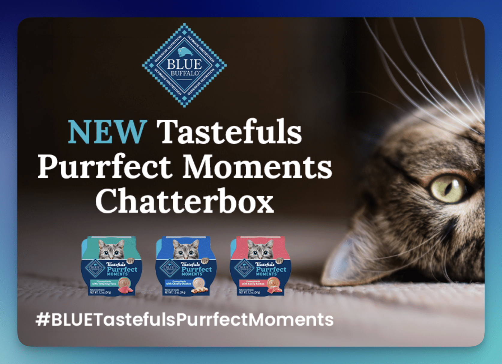 Chatterbox: Possible FREE Blue Buffalo Cat Snacks